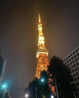東京タワー 東京タワーの写真