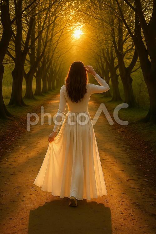 並木道を歩く白い服の女性 女性,並木道,道の写真素材