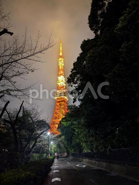 冬の東京タワー　夜景 東京タワー,余白,スペースの写真素材