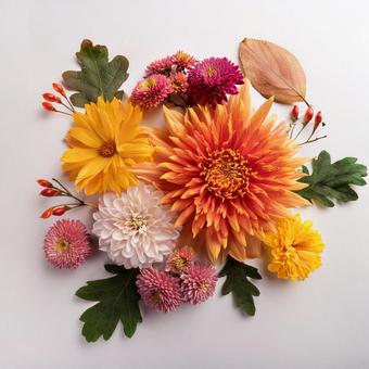 花の素材 花の素材の写真
