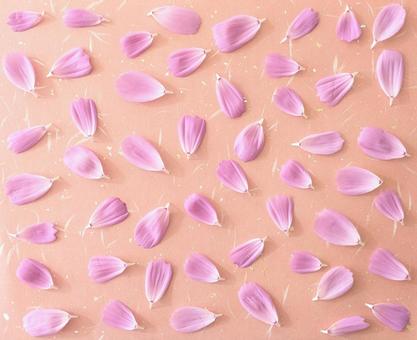 和紙背景にコスモスの花びらテクスチャ 和紙背景にコスモスの花びらテクスチャ 和紙,花びら,テクスチャの写真素材