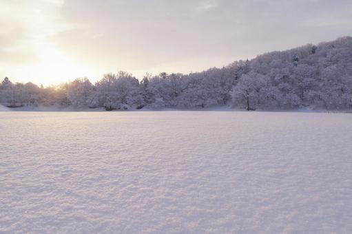 雪景色の朝 雪景色の朝 朝焼け,マジックアワー,スペースの写真素材