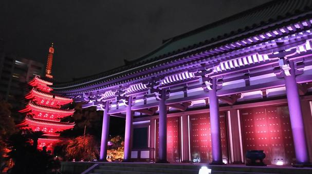 東長寺 東長寺,博多,寺院の写真素材