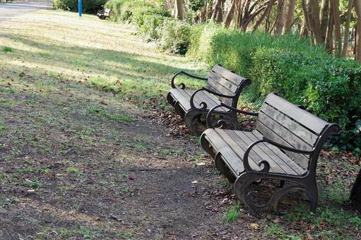 辰巳の森緑道公園の風景 辰巳の森緑道公園の風景の写真