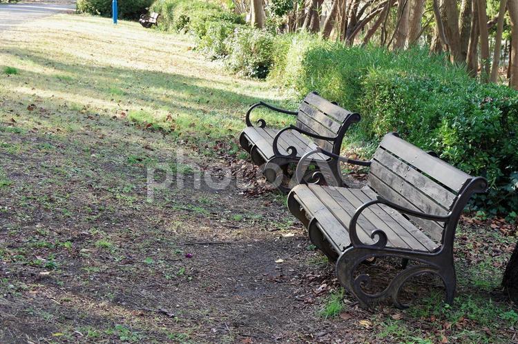 辰巳の森緑道公園の風景 辰巳の森緑道公園,ベンチ,青空の写真素材