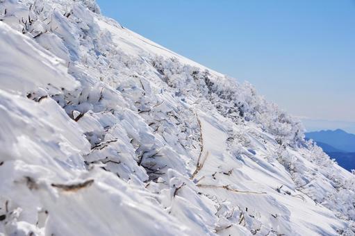 雪山の芸術的なエビのしっぽ エビの尻尾,霧氷,氷点下の写真素材