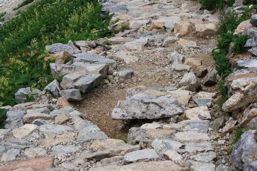 室堂平の登山道② 室堂平の登山道②の写真