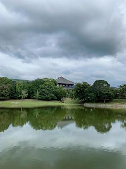 東大寺1 東大寺,奈良の大仏,重要文化財の写真素材
