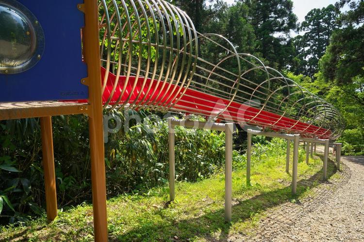 加茂山公園のすべり台 すべり台,滑り台,遊具の写真素材