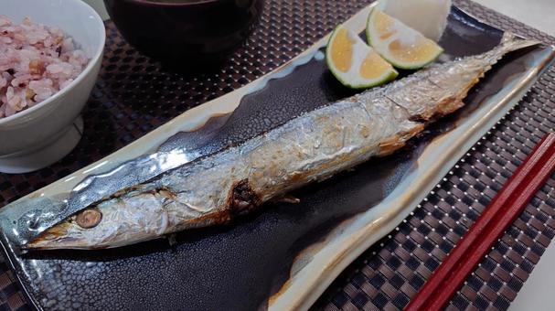 秋刀魚を食べる 秋刀魚を食べる さんま,秋刀魚,焼き魚の写真素材