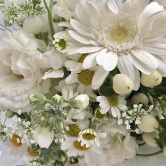 White flowers, JPG White flowers, white day, white, flour, JPG