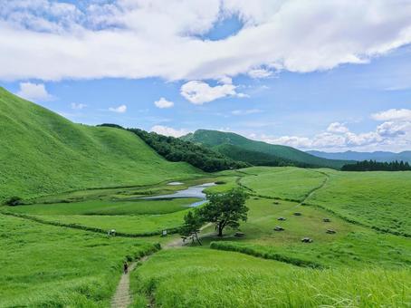 夏の曽爾高原 2 夏の曽爾高原 2 曽爾高原,夏,緑の写真素材