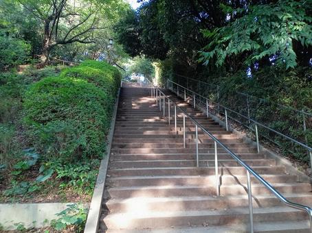人生みたいな長い階段 人生みたいな長い階段 階段,上る,下りるの写真素材
