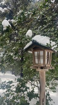 灯籠 灯籠 寺,灯火,秋の写真素材