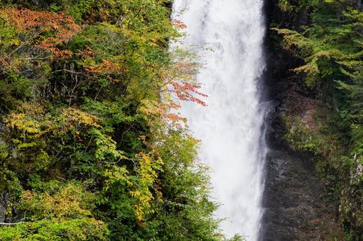 秋の秋保大滝⑴ 秋の秋保大滝⑴ 滝,秋保大滝,名瀑の写真素材