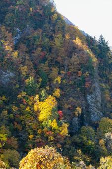 二口渓谷の紅葉⑿ 秋,紅葉,山の写真素材