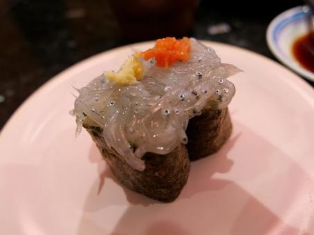 回転寿司 生しらす 回転寿司 生しらすの写真