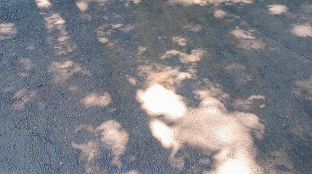 Sunlight filtering through the trees, sunbeams leaves, asphalt, ground, JPG