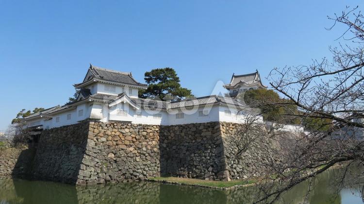 岸和田城　復興された天守閣と本丸隅櫓 岸和田城,千亀利城,平城の写真素材