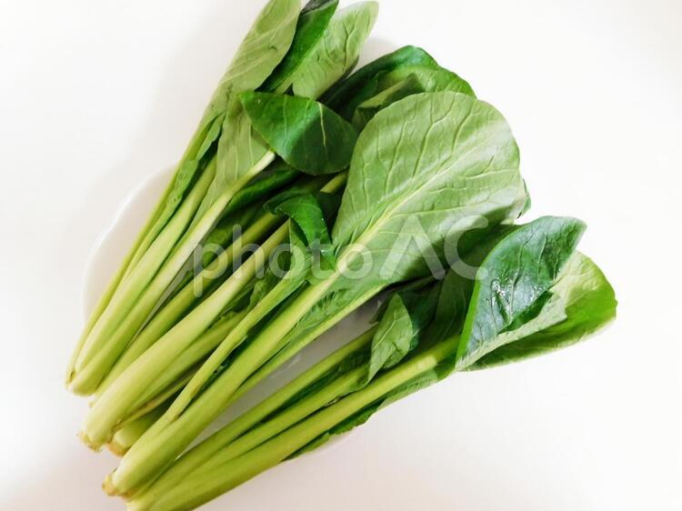 ほうれん草 ほうれん草,ほうれんそう,野菜の写真素材
