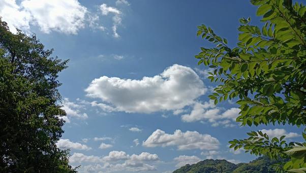 浮かぶもの 雲,青空,森の写真素材