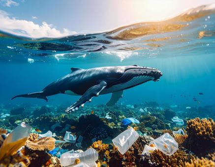 海洋プラスチック問題とくじら 環境問題1 海洋プラスチック問題とくじら 環境問題1の写真