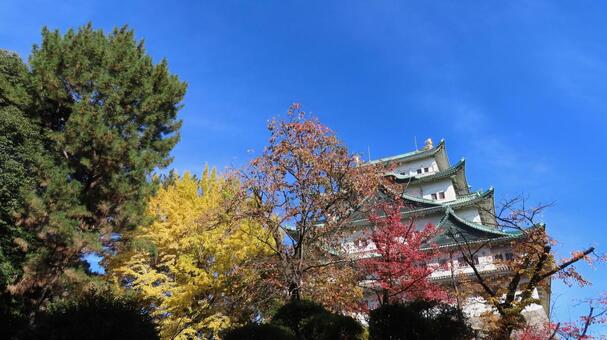 名古屋城　天守　大天守と紅葉 名古屋城,尾張徳川家,御三家の写真素材