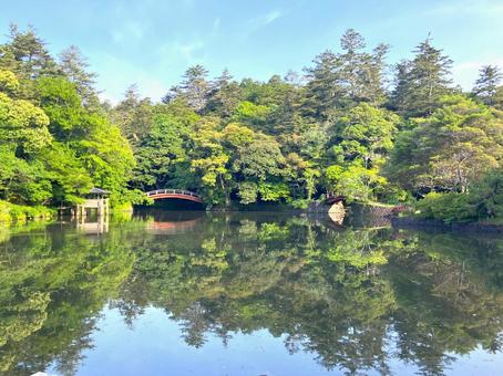 公園の池の反射 公園の池の反射 池,木,自然の写真素材