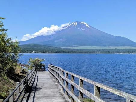 山中湖の遊歩道 山中湖の遊歩道 富士山,世界遺産,自然の写真素材