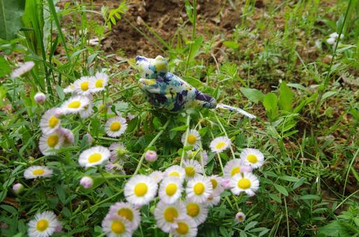 ネコの洗濯ばさみ ネコの洗濯ばさみの写真