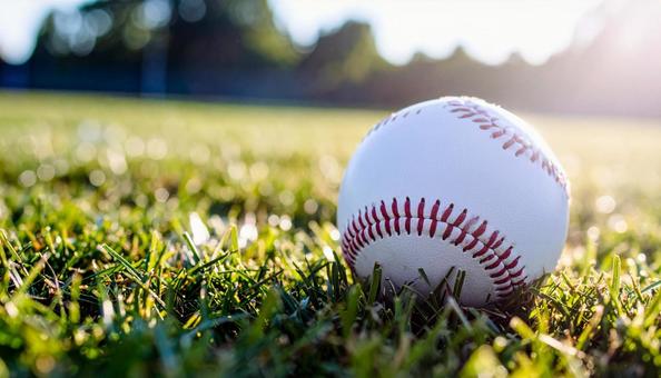 野球ボール 野球ボールの写真