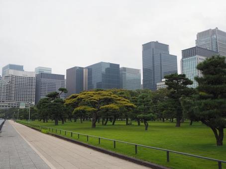 霞ヶ関の街並み(東京都・千代田区) 霞ヶ関の街並み(東京都・千代田区) 丸の内,皇居外苑,オフィス街の写真素材