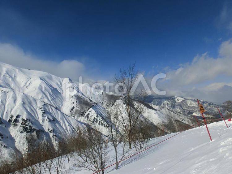 白馬五竜・Hakuba47スキー場の風景 スキー場,冬,雪の写真素材