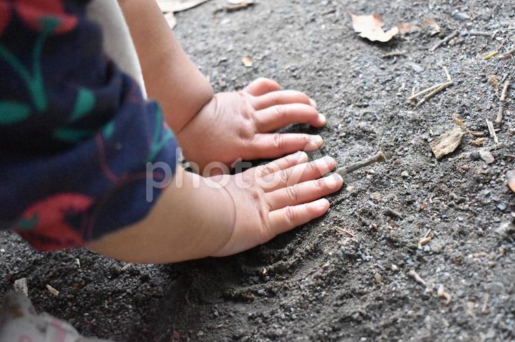 砂に触れる小さな手、公園遊び 自然,公園,屋外の写真素材