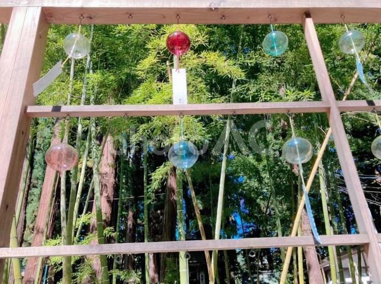 風鈴のある神社 神社,風鈴,涼しいの写真素材