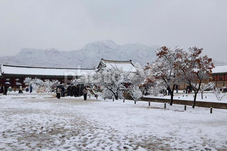 雪が積もった韓国の景福宮の門 冬,ソウル,韓国の写真素材