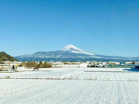 富士山と雪積もる畑 日本,静岡,伊豆の写真素材