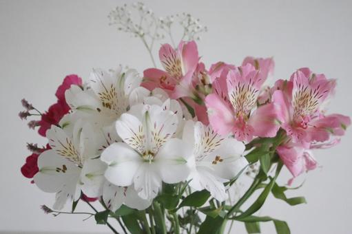アルストロメリアの花束 アルストロメリアの花束の写真