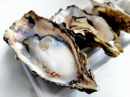 蒸し牡蠣 牡蠣,蒸し牡蠣,料理の写真素材