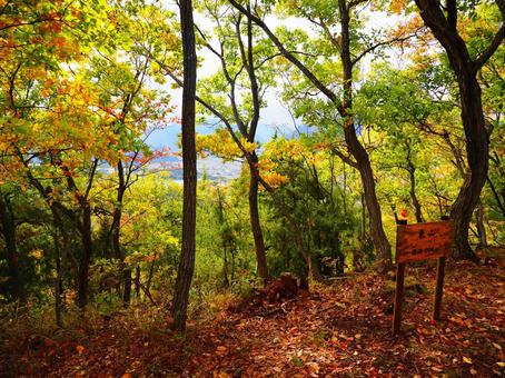 塩田平東山山頂 塩田平,東山,山頂の写真素材