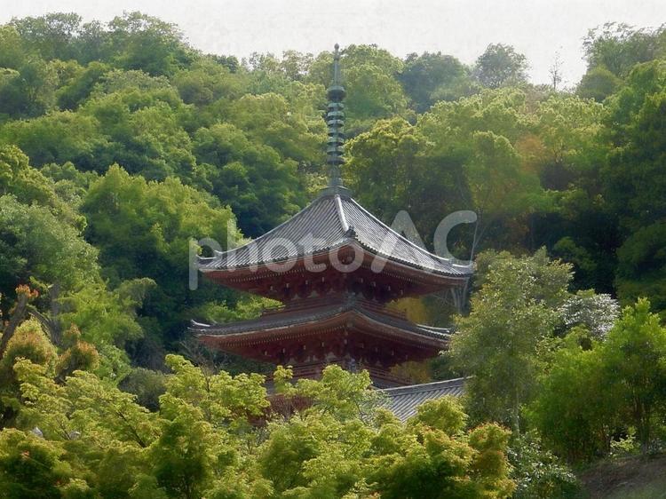 【風景写真】明王院の風景 風景,自然,風景写真の写真素材