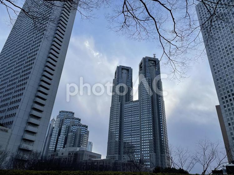 西新宿　風景 西新宿,風景,高層ビルの写真素材