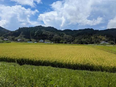 夏の里山と田園風景 夏の里山と田園風景 熊本,熊本県,球磨村の写真素材
