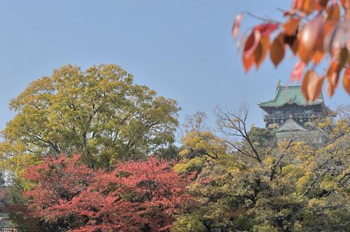 秋景色 秋,大阪城,風景の写真素材