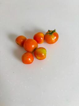 ミニトマト ミニトマトの写真