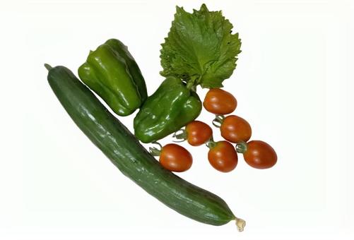 夏野菜-キュウリ・ピーマン・シソ・アイコ 夏野菜-キュウリ・ピーマン・シソ・アイコ 夏野菜,キュウリ,ピーマンの写真素材