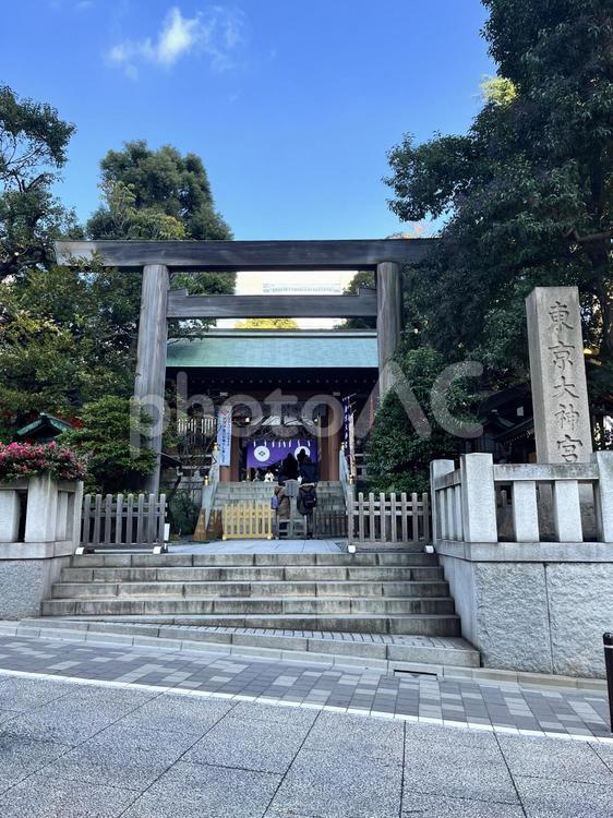 東京大神宮へ 東京大神宮,東京,神社の写真素材