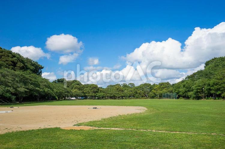 公園の新緑と青空 公園,風景,青空の写真素材
