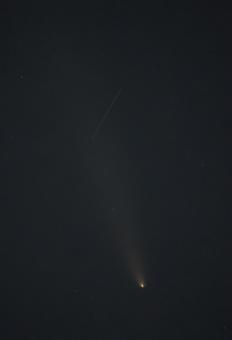 紫金山アトラス彗星とスターリンク衛星 彗星,スターリンク衛星,紫金山アトラス彗星の写真素材