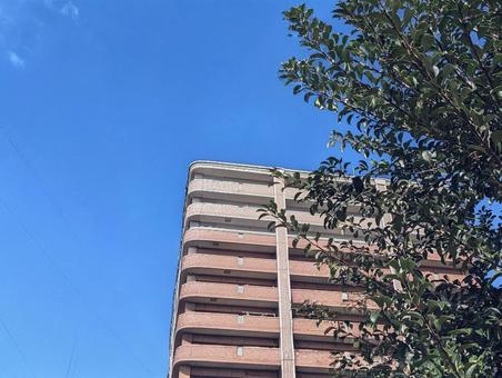 分譲マンションのビル 共同住宅,集合住宅,環境の写真素材